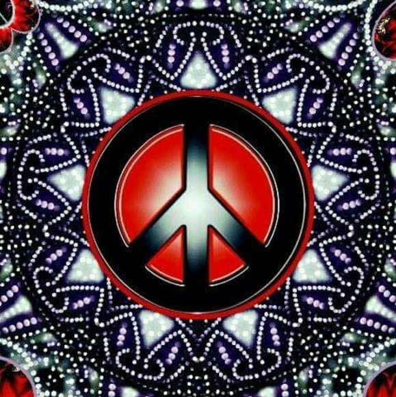 Meet your Posher, Nancy - Picture 3 of 5